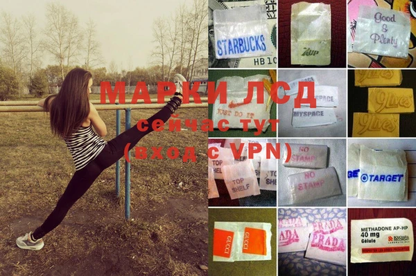 PSILOCYBIN Пересвет