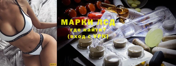 хмурый Алексин