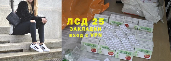 хмурый Алексин